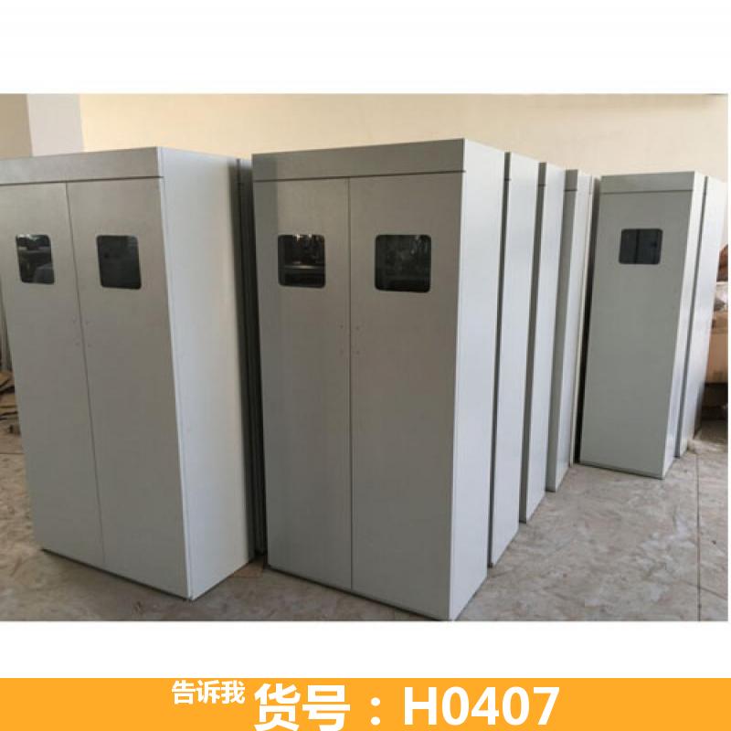 三瓶气瓶柜 危险气瓶柜 4气瓶柜