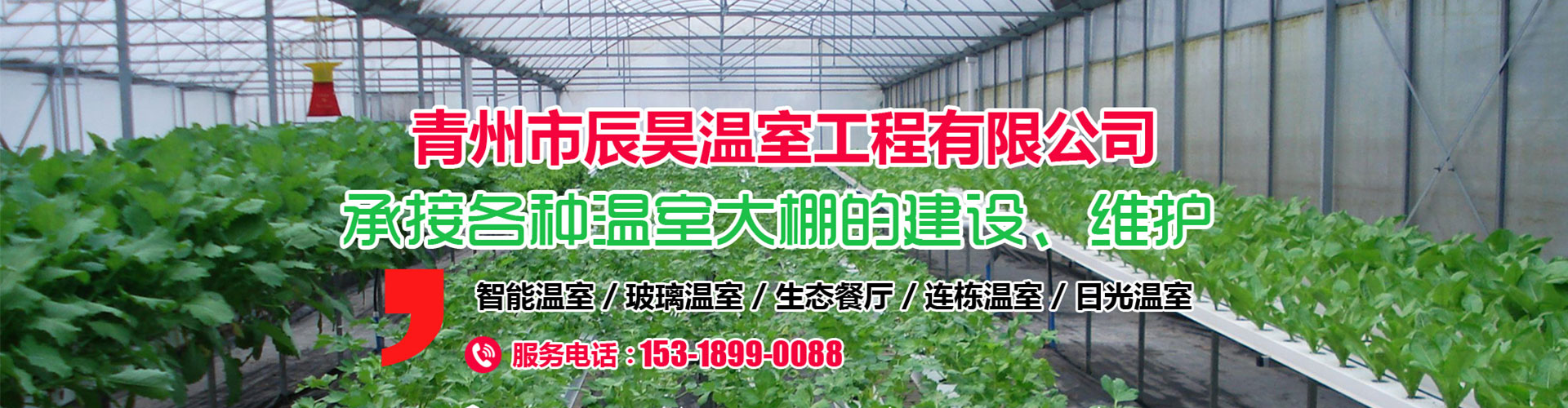 青州市辰昊温室工程有限公司 主营产品