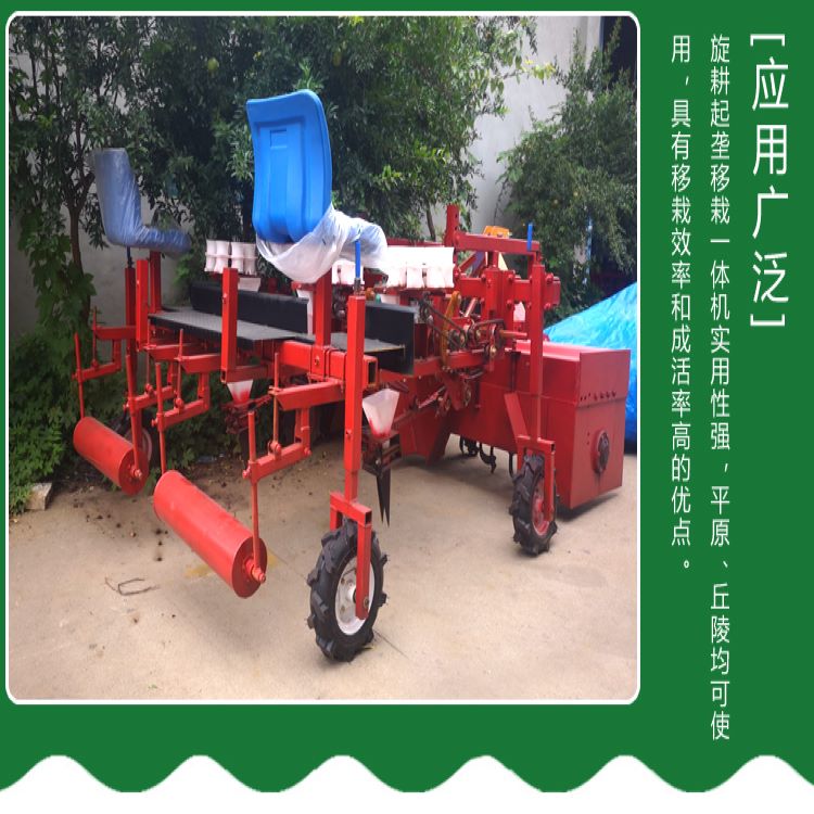 辣椒栽苗机可在膜上垄上栽苗 山一辣椒移栽机可定制