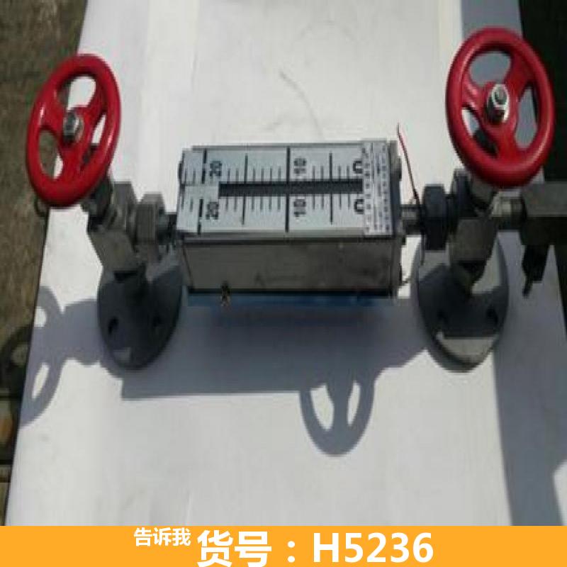 天腾储罐液位计 差压式液位计 浮漂液位计