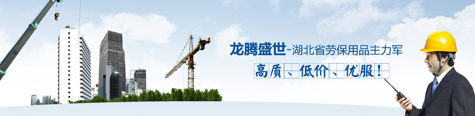 湖北龙腾盛世劳保制品有限公司 主营产品