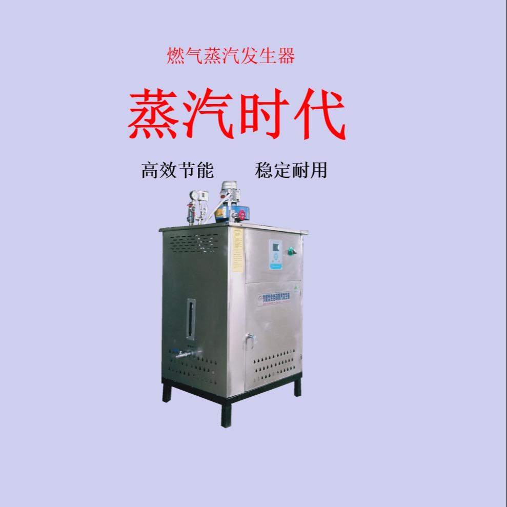 大为全自动燃气蒸汽锅炉 压力控制型蒸汽发生器 厂家定制