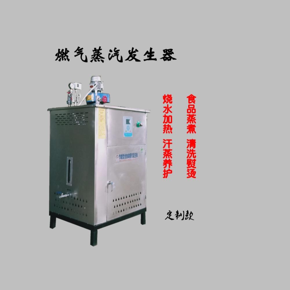 大为化妆品生产加温蒸汽机 酒店餐厅用燃气蒸汽锅炉 电加热蒸汽发生器