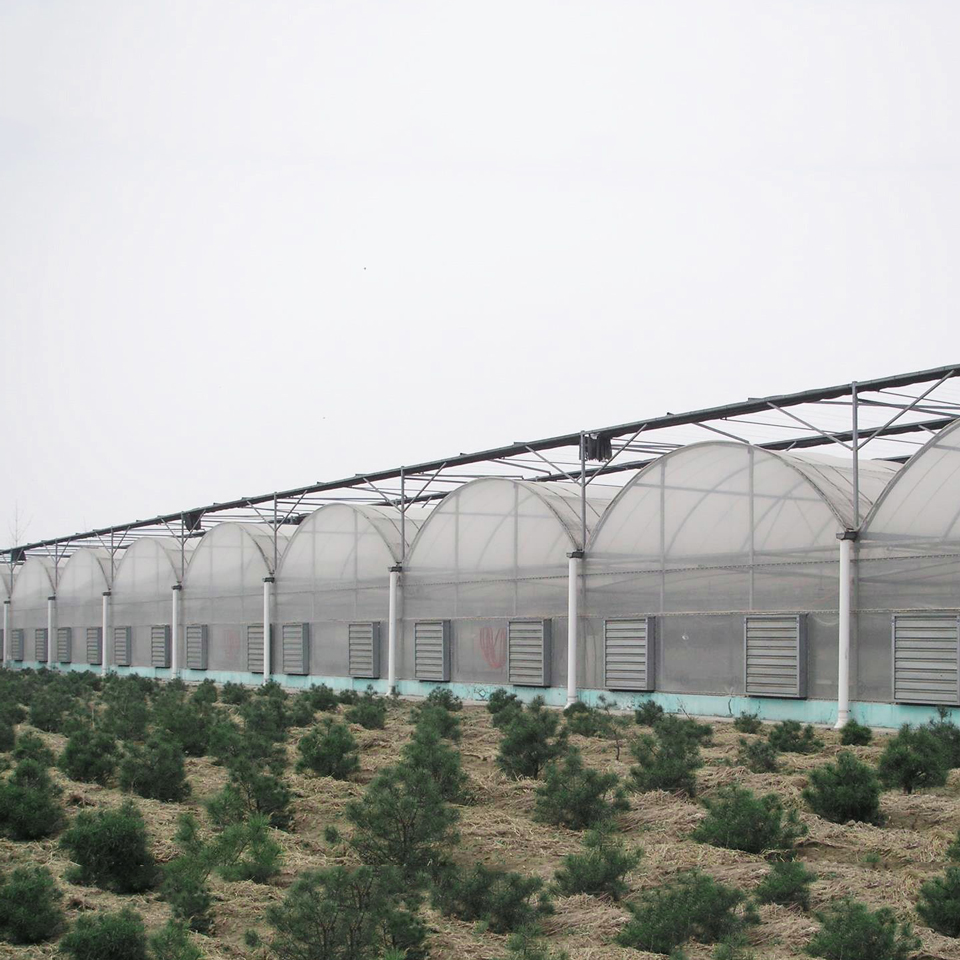 蔬菜温室大棚建造 蔬菜大棚造价 山西蔬菜种植大棚