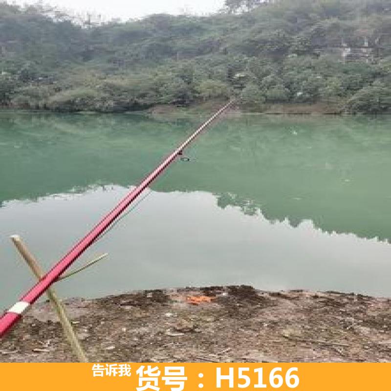 天腾可视高清锚鱼器 小型钓鱼竿 家用锚鱼器