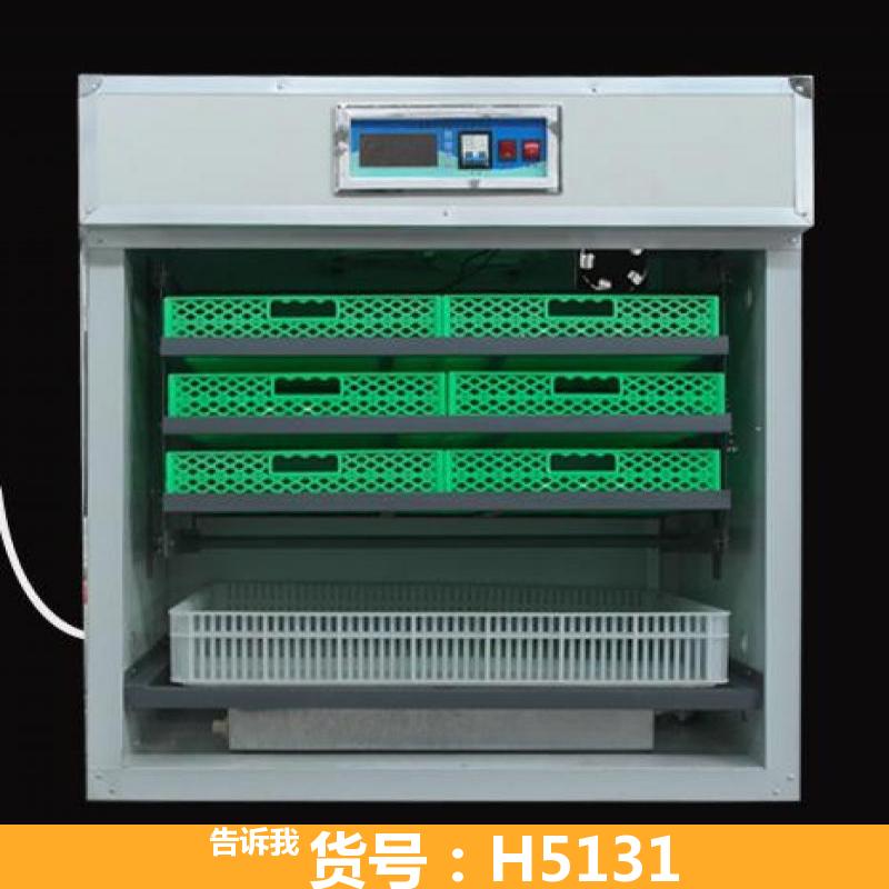 天腾鸭孵化机 家用孵化机 人工孵化机