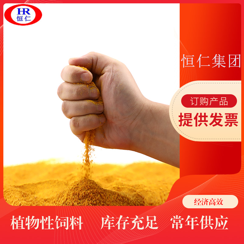 玉米蛋白粉 膨化玉米粉 恒仁集团蛋白含量高适口性好厂家供应