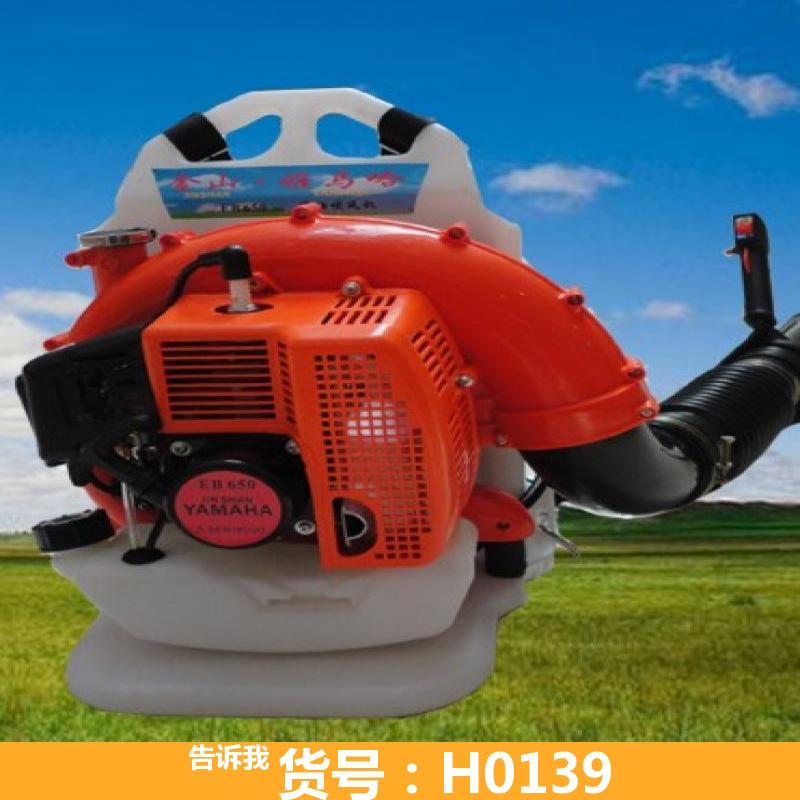 宏胜二氧化碳泡沫灭火器 手提式泡沫灭火器 细水雾灭火机