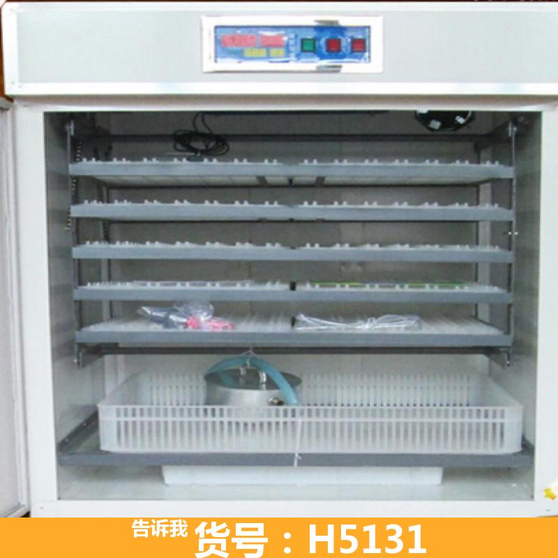 宏胜大型孵化机 鹌鹑孵化机 电脑孵化机