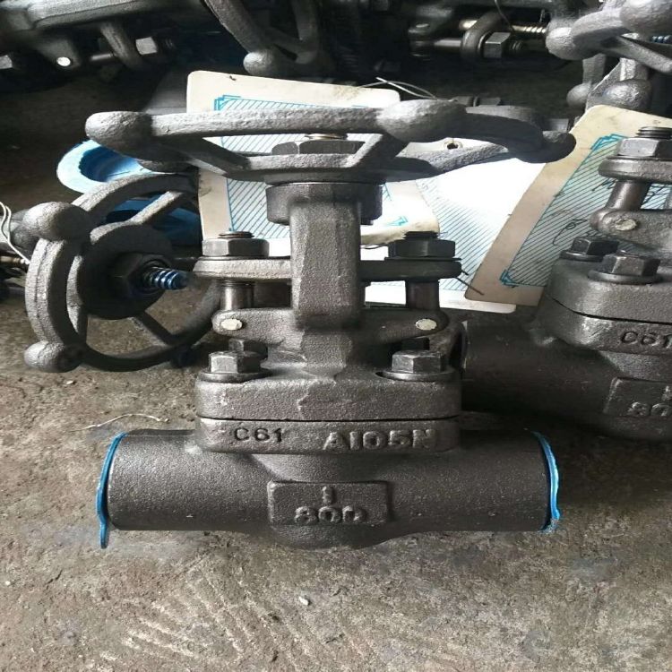 Z61H锻钢承插焊闸阀 锻钢闸阀 闸阀规格型号 锻钢低温闸阀 z41w不锈钢闸阀