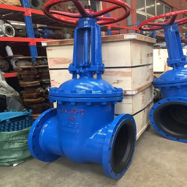 Z41J全衬胶闸阀 软密封闸阀 弹性座封闸阀 衬氟闸阀 橡胶闸阀 耐磨闸阀