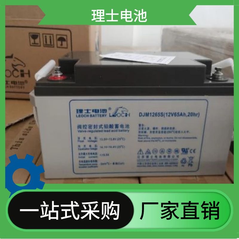 LEOCH电池2v800ah直流屏蓄电池、通信蓄电池 江苏理士UPS蓄电池厂家现货直销