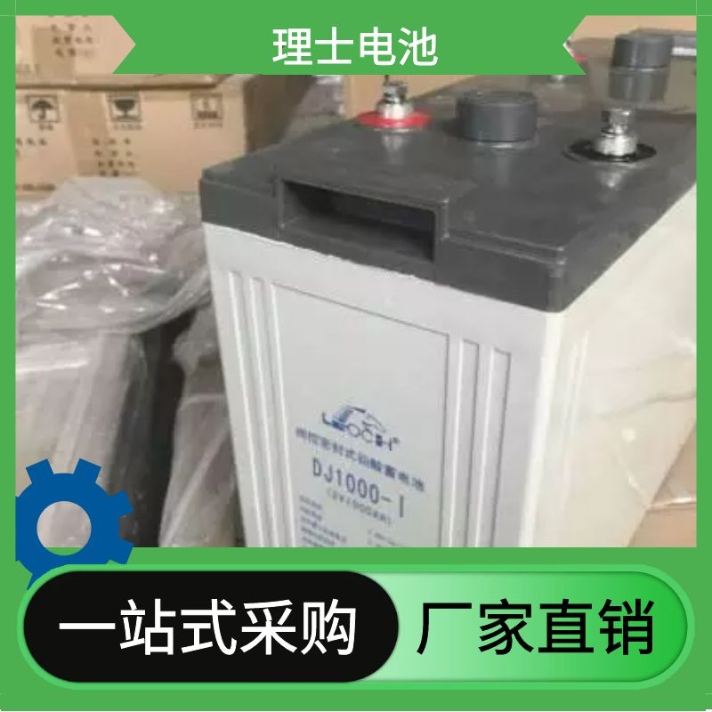 LEOCH电池2v600ah直流屏蓄电池、通信蓄电池 江苏理士UPS蓄电池厂家现货直销