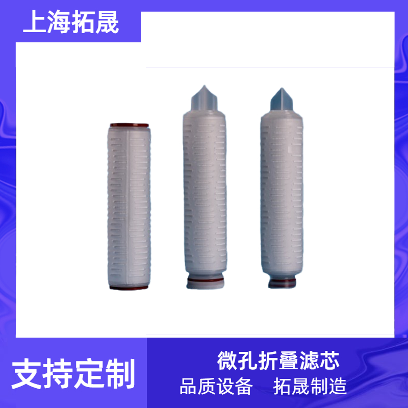 上海拓晟 PPPESPTFE微孔膜折叠0.22除菌滤芯