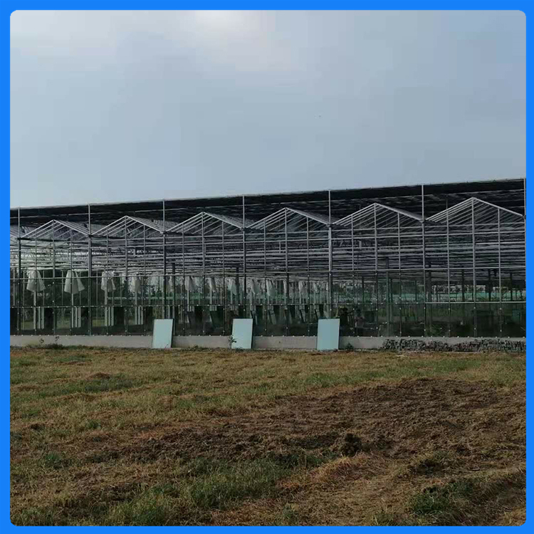 玻璃温室 智能控温多肉种植温室 欢迎洽谈