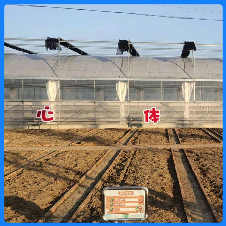 辰昊连栋温室 单拱单膜 青州连栋薄膜温室建设