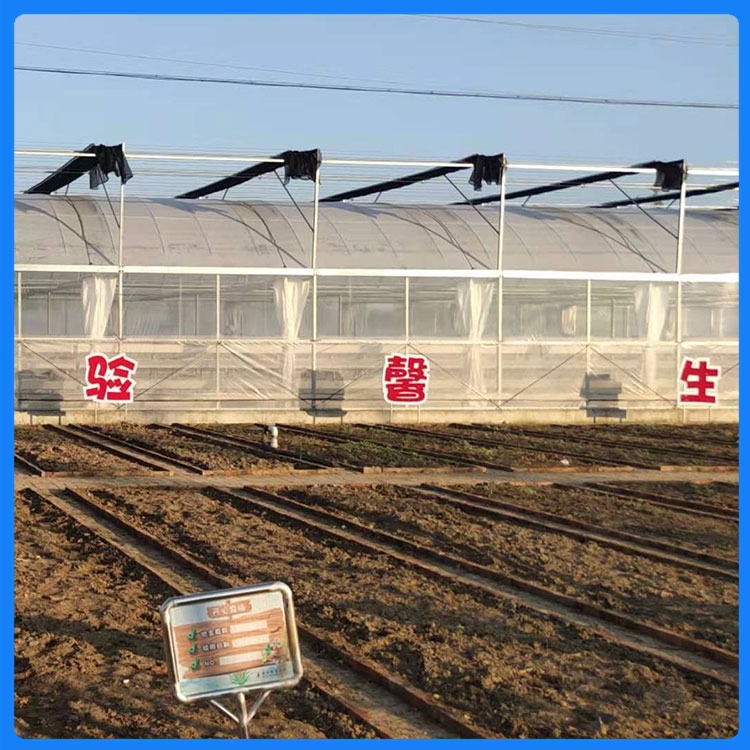 温室工程安装设计 薄膜大棚 山东连栋薄膜温室造价
