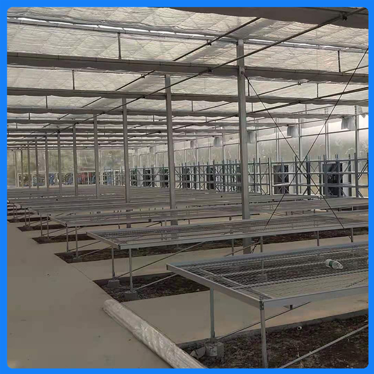 薄膜温室 种植薄膜大棚价格 连栋薄膜大棚安装公司