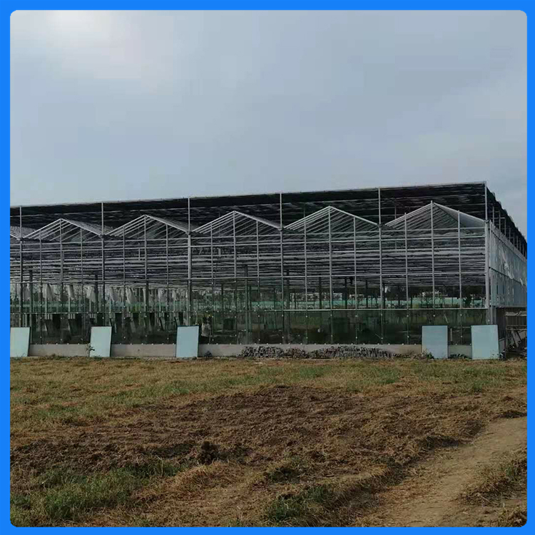 CH-001型玻璃温室 蔬菜种植温室大棚 施工队伍建造