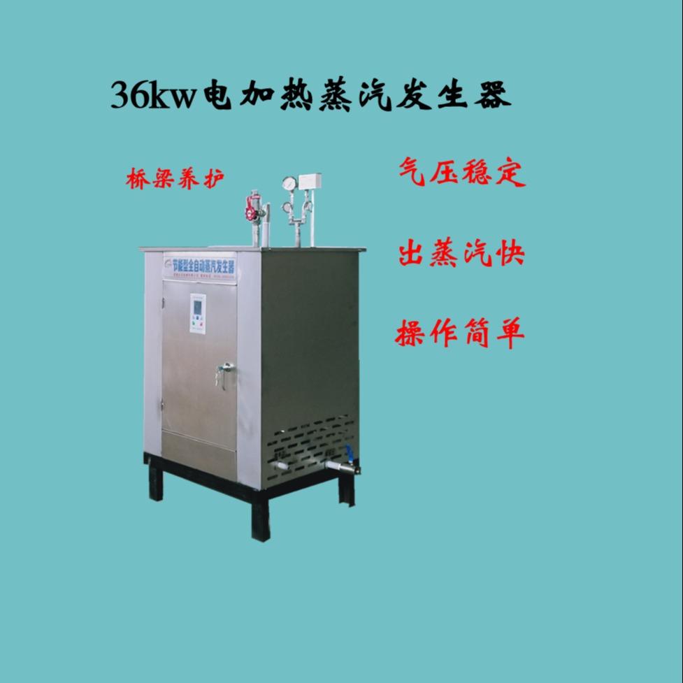 桥梁养护蒸汽发生器 燃油电加热蒸汽锅炉 全自动混凝土蒸汽养护机
