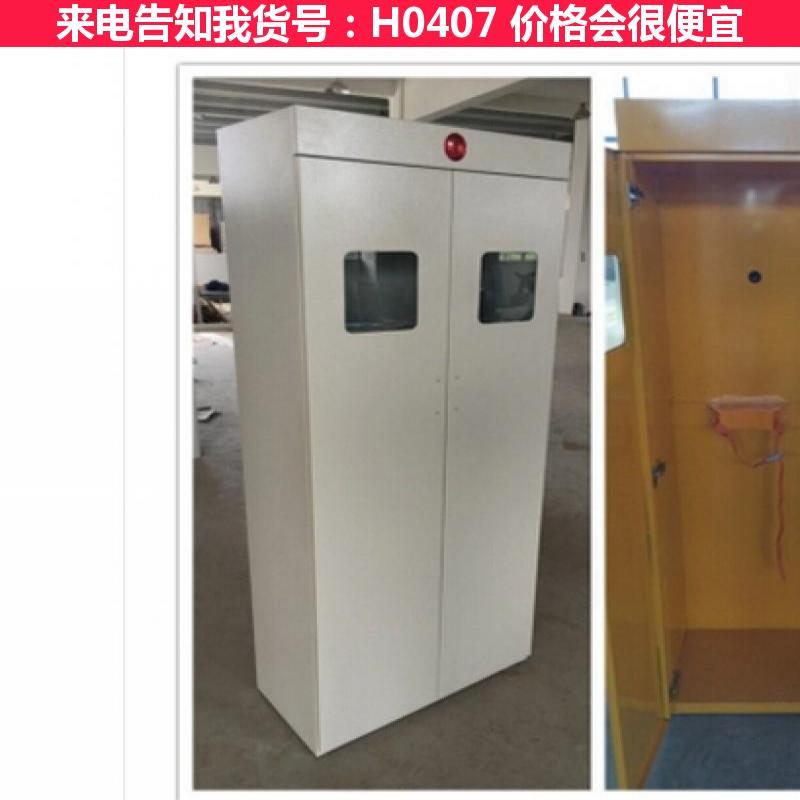慧采报警气瓶柜 智能气瓶柜 6气瓶柜货号H0407