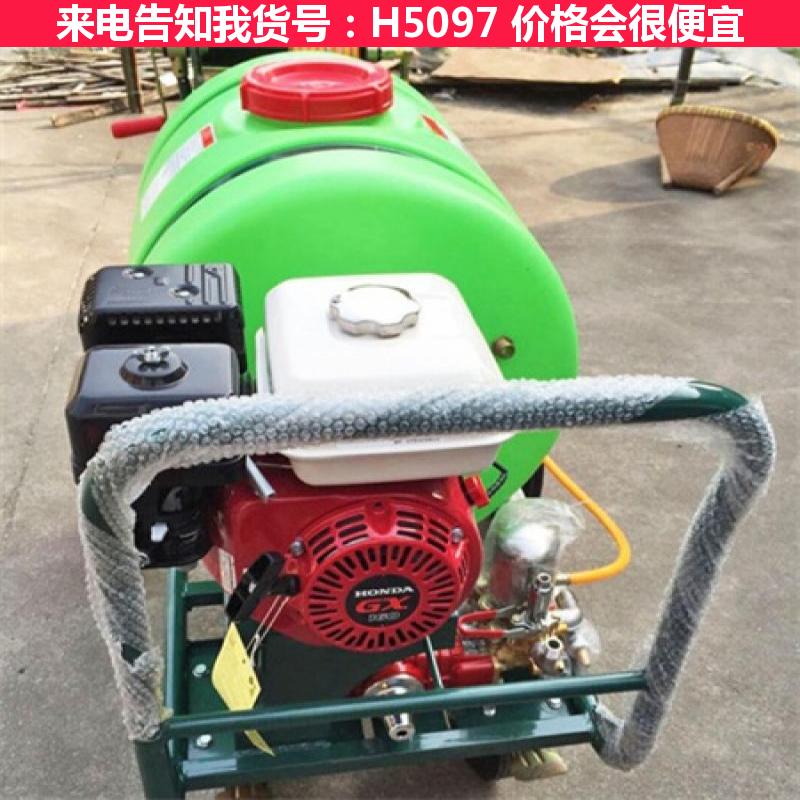 天腾背式喷雾器 手推式电动喷雾器 手推式机动喷雾器货号H5097