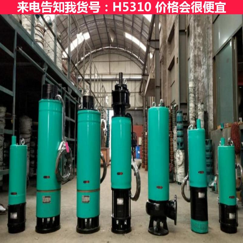 宏胜无堵塞污水潜水泵 隔爆污水潜水泵 wqx污水污物潜水泵货号H5310