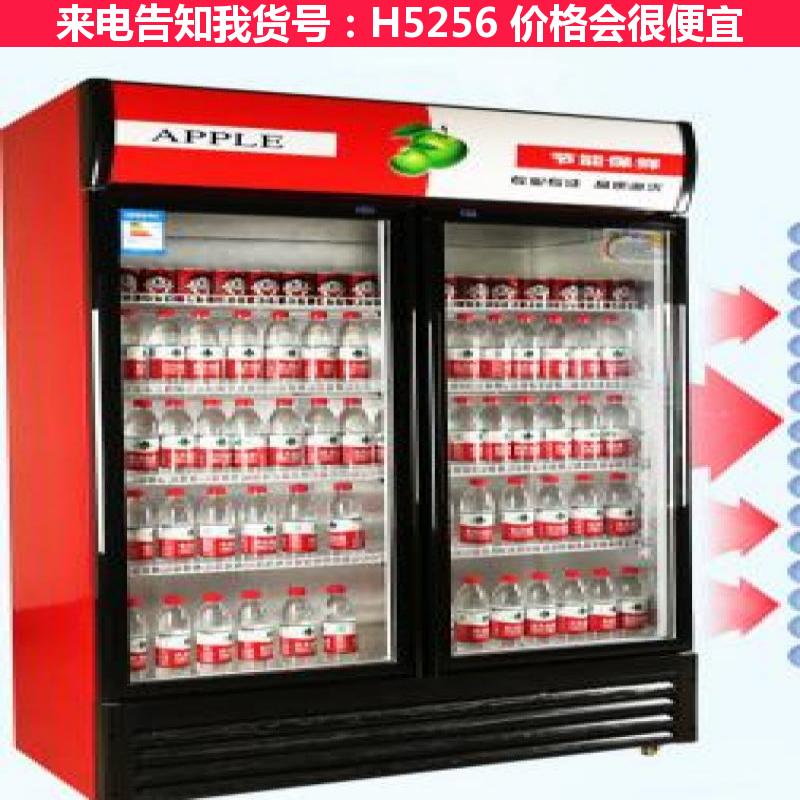 宏胜冷藏柜保鲜柜 雪的冷藏柜 修冷藏柜货号H5256