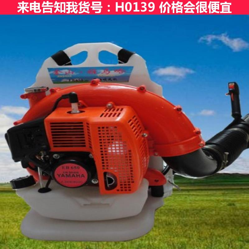 宏胜背负式风水灭火机 泡沫式灭火器 水雾灭火器货号H0139