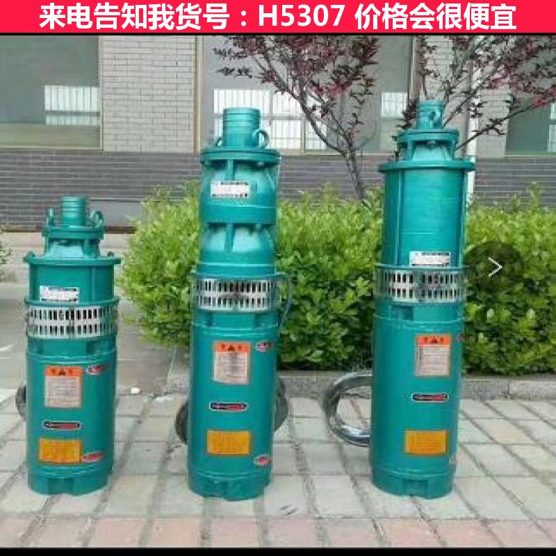宏胜农用潜水泵 大型潜水泵 压力潜水泵货号H5307