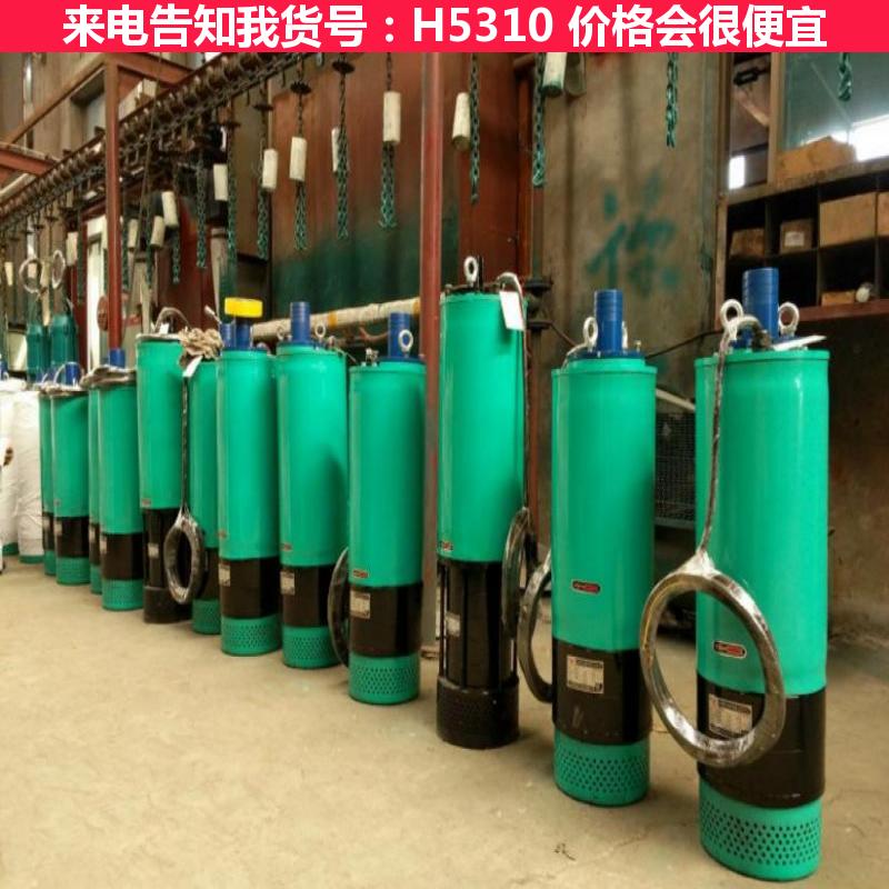 宏胜风动污水潜水泵 污水处理鼓风机房潜水泵 潜水泵和清水泵污水泵货号H5310