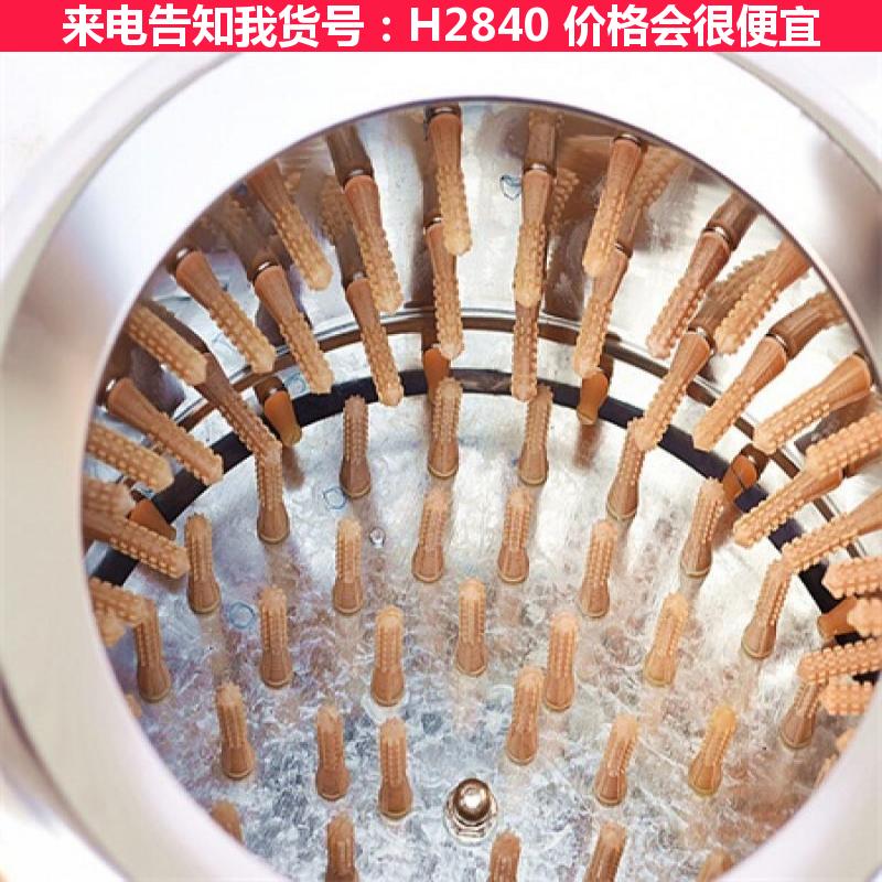 慧采拔毛机 家禽脱毛机 不锈钢脱毛机货号H2840