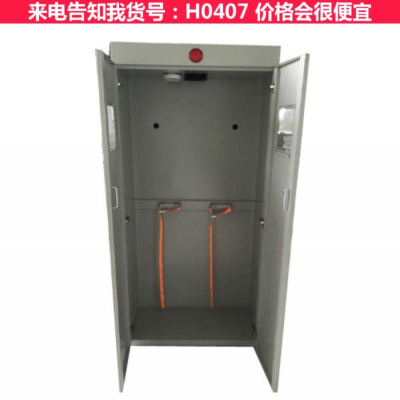 德科实验室气瓶柜 气瓶柜总成 单门气瓶柜货号H0407