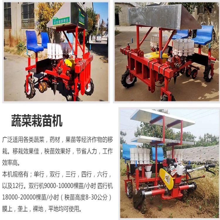 自走式蔬菜移栽机 山一 两行自走移栽机热销中