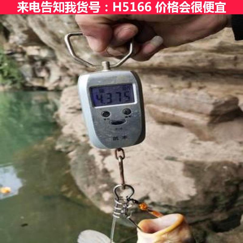 天腾超清可视夜光锚鱼器 可视高清锚鱼器 水池锚鱼竿货号H5166