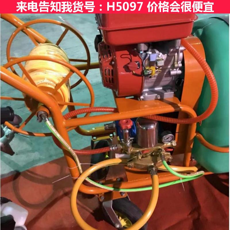 天腾小型喷雾器 防雾喷雾器 背式喷雾器货号H5097