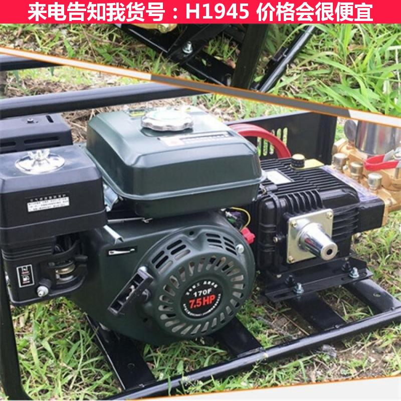天腾汽油机喷雾器 喷雾器 4冲程担架式高压喷雾机货号H1945
