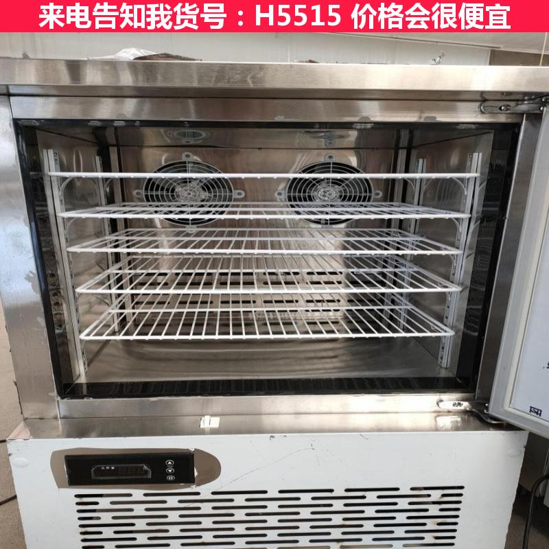 天腾不锈钢饺子速冻柜 冷鲜速冻柜 速冻柜商用货号H5515