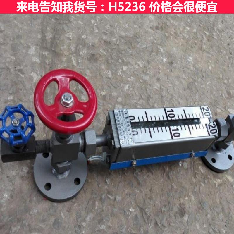 天腾静压液位计 液位计h 四氟液位计货号H5236