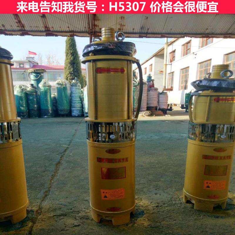 天腾大流量潜水泵 泵潜水泵 排污潜水泵货号H5307