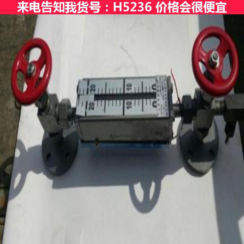 天腾浮标液位计 液位计浮子 外浮筒液位计货号H5236