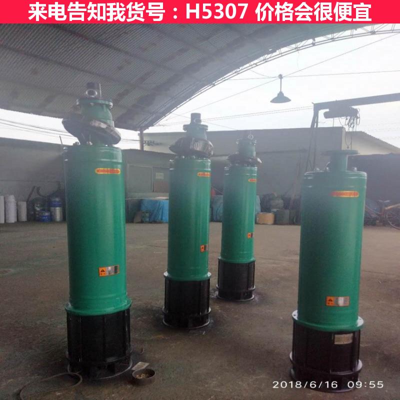 宏胜qy潜水泵 油浸式潜水泵 增氧潜水泵货号H5307