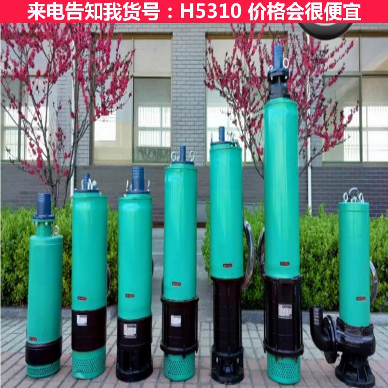 宏胜大型污水潜水泵 污水处理鼓风机房潜水泵 耐酸碱污水潜水泵货号H5310