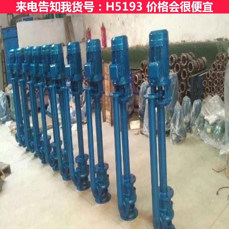 宏胜wq污泥泵 小型污泥泵 污泥外运泵货号H5193