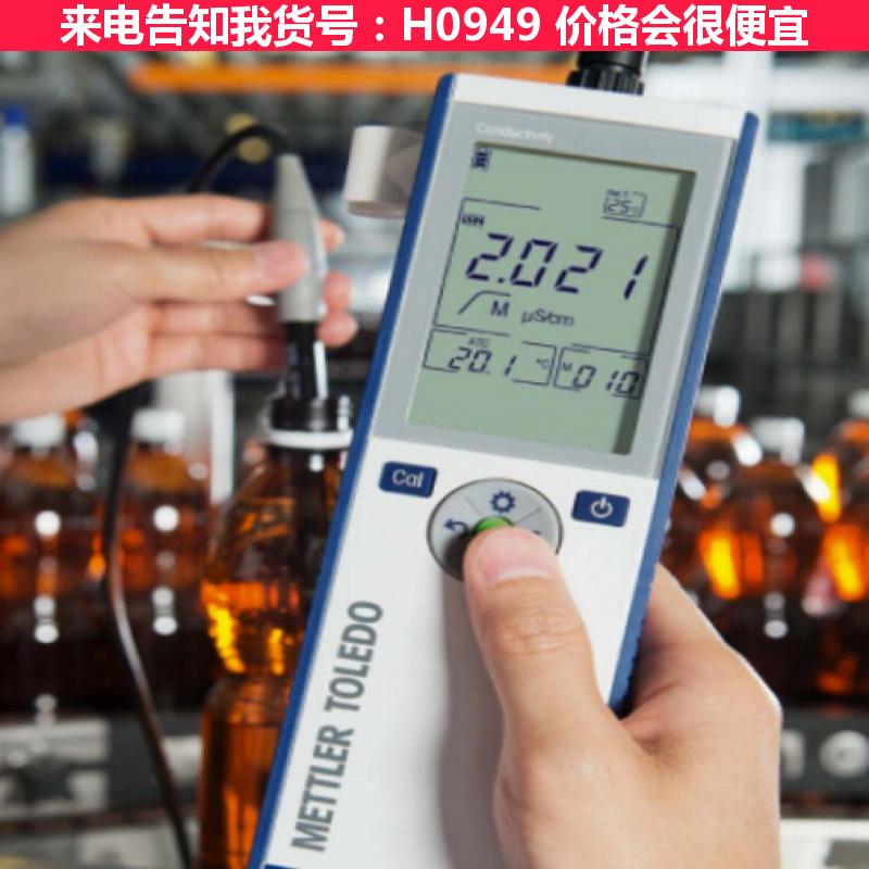 宏胜在线溶氧仪 在线溶氧检测仪 SG9-ELK 专业型光学法 便货号H0949