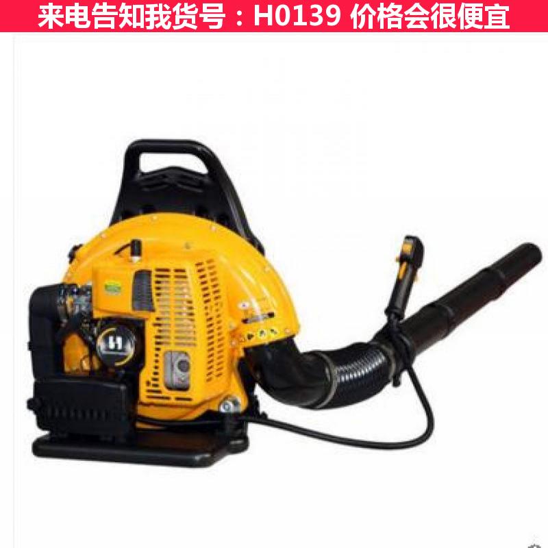 宏胜电动风力灭火机 高倍数泡沫灭火器 消防泡沫灭火器货号H0139
