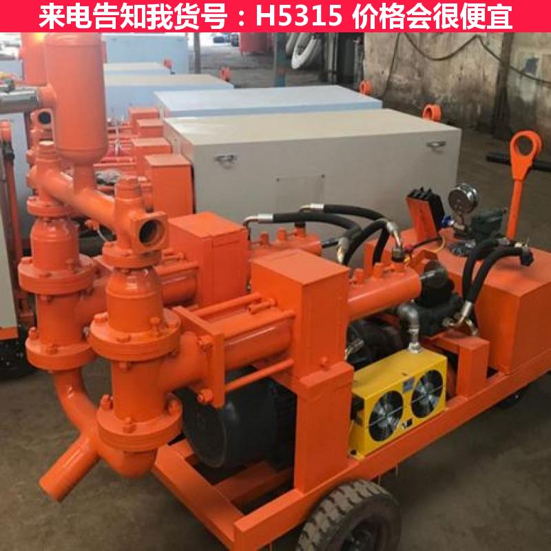 宏胜水泥浆注浆泵 便携注浆泵 3sns注浆泵货号H5315