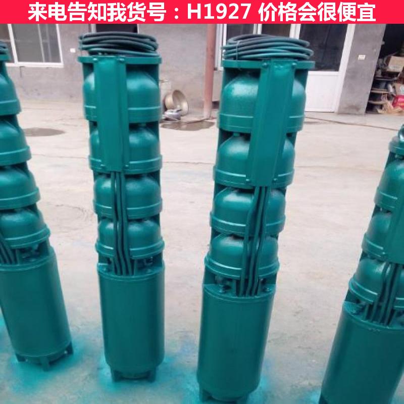 德科深井潜水泵 自动潜水泵 清洗潜水泵货号H1927