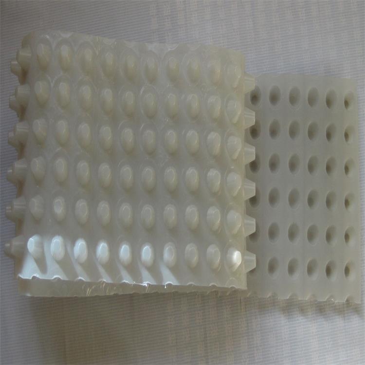 复合型 20高排水板与土工布结合在一起