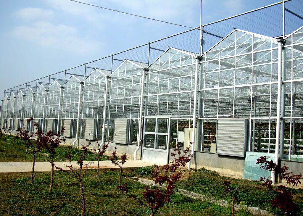 玻璃温室大棚工程建设 2000平玻璃温室大棚建设-辰昊温室建设